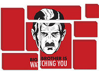 Big Brother is Watching, and it’s not who you think…